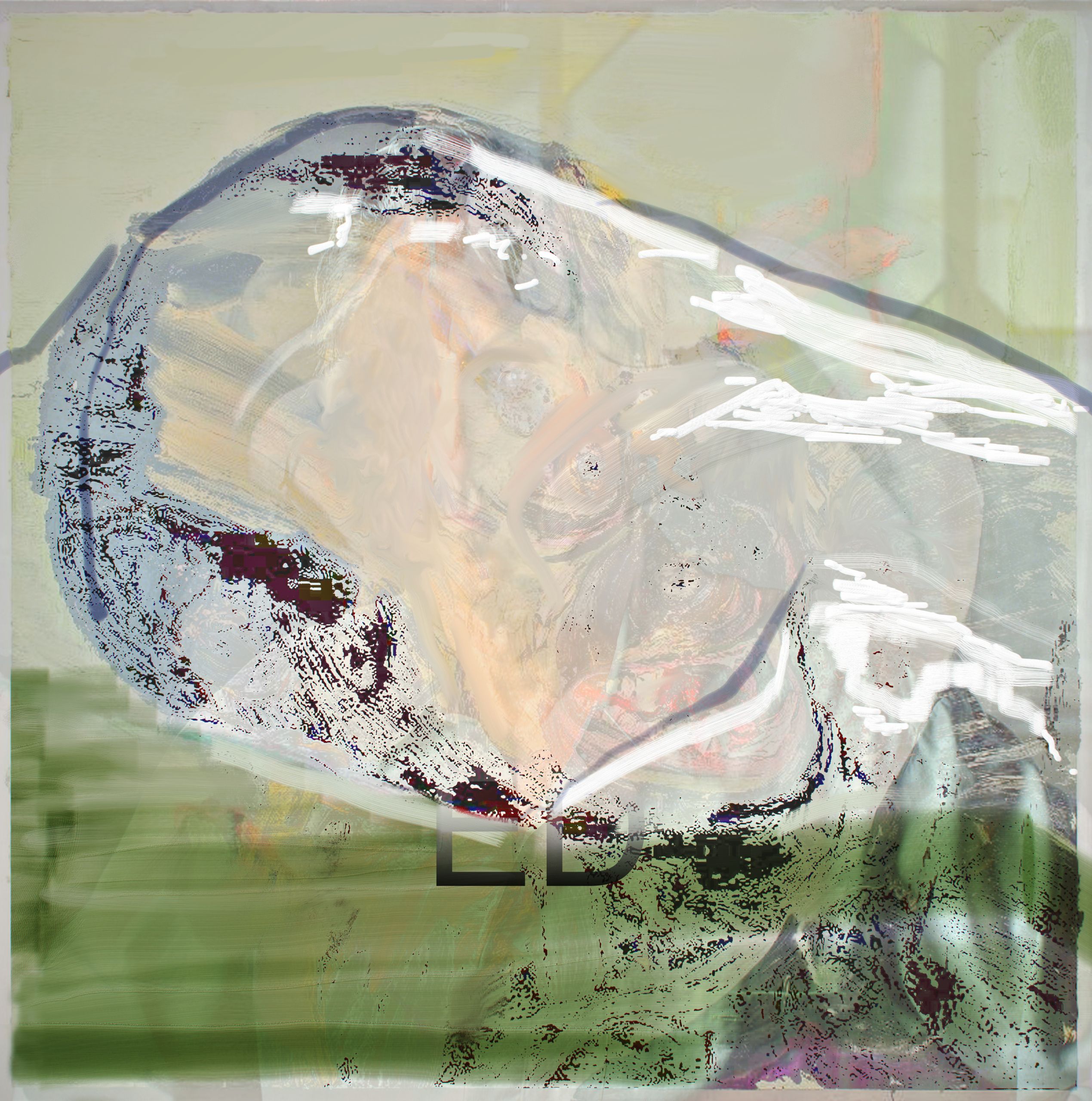Ed, 20100313