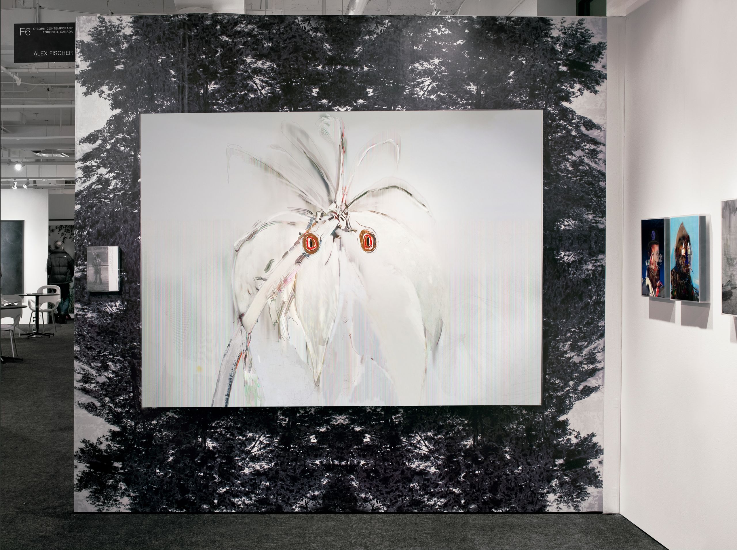 VOLTA NY, Booth F6: Alex Fischer documentation 02, 2012