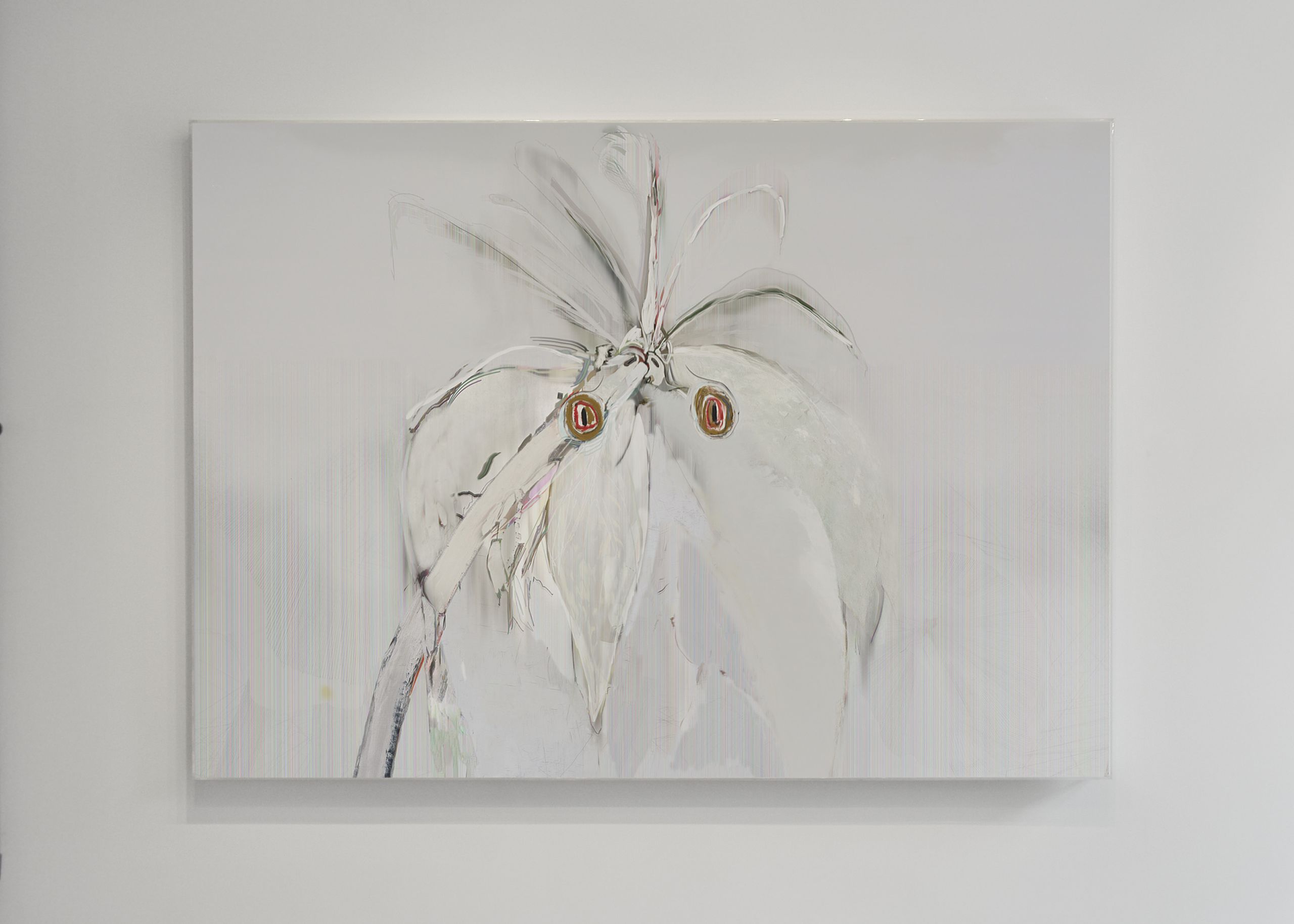 Parrots, 20110901