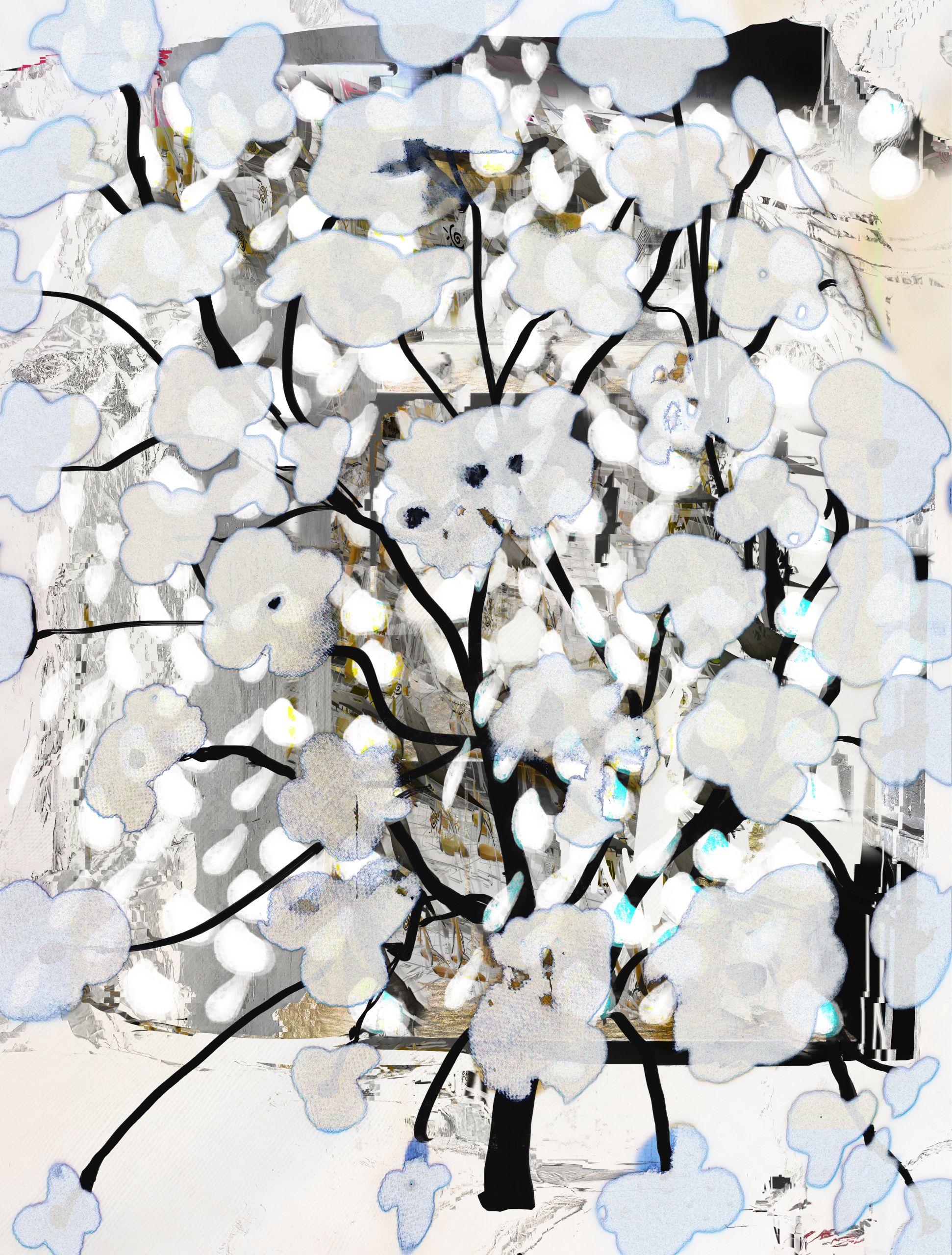 On Cotton, 20120918