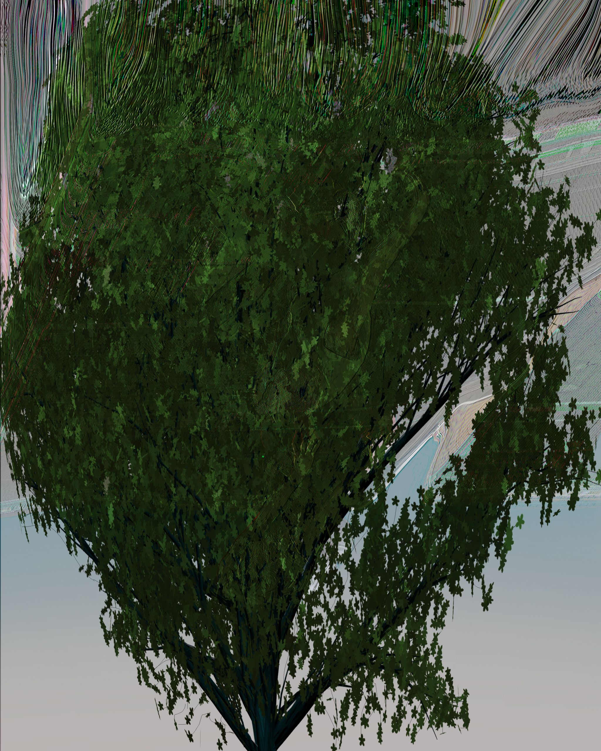Green Scrape, 20140131