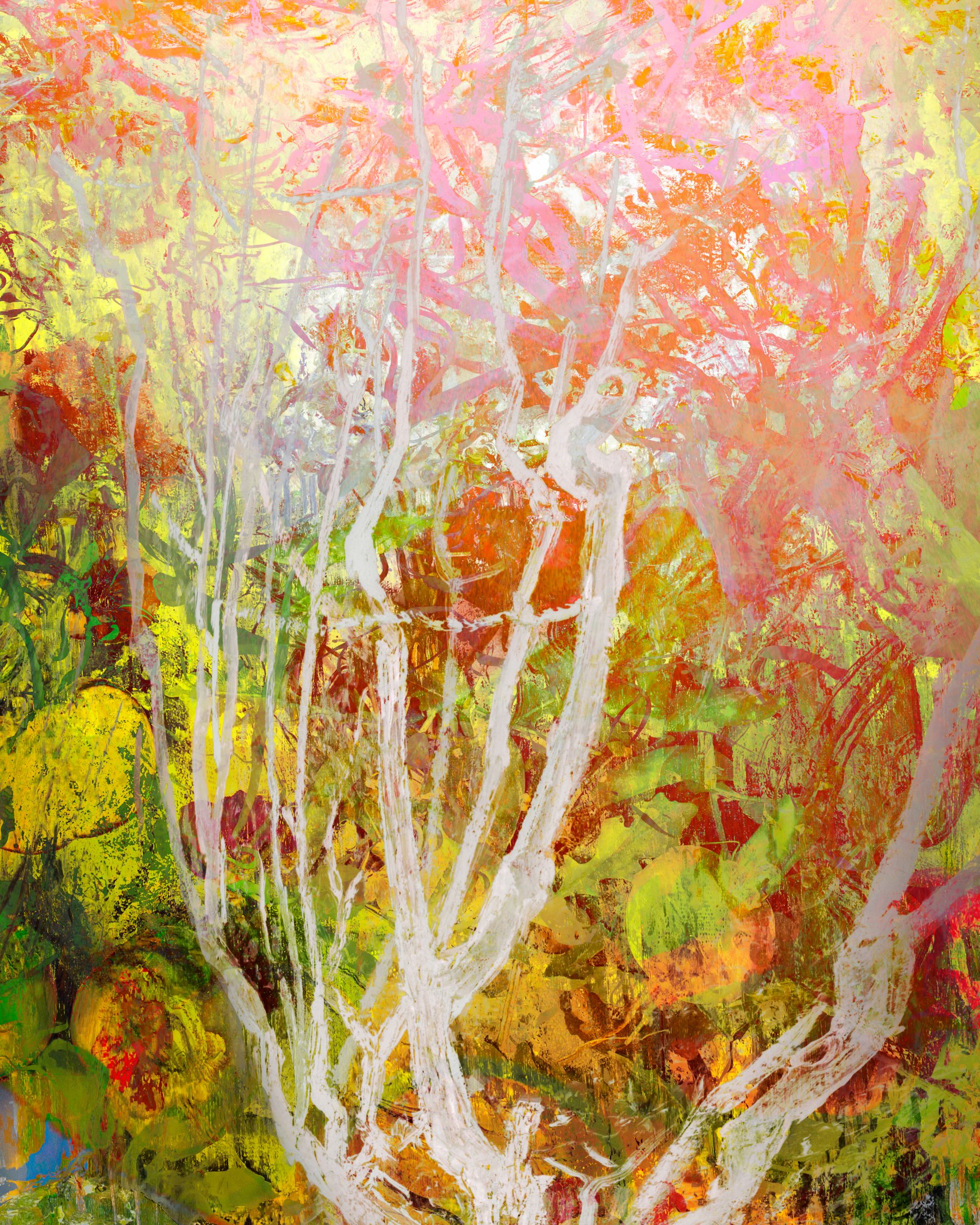 Spring Seizer, 20190403