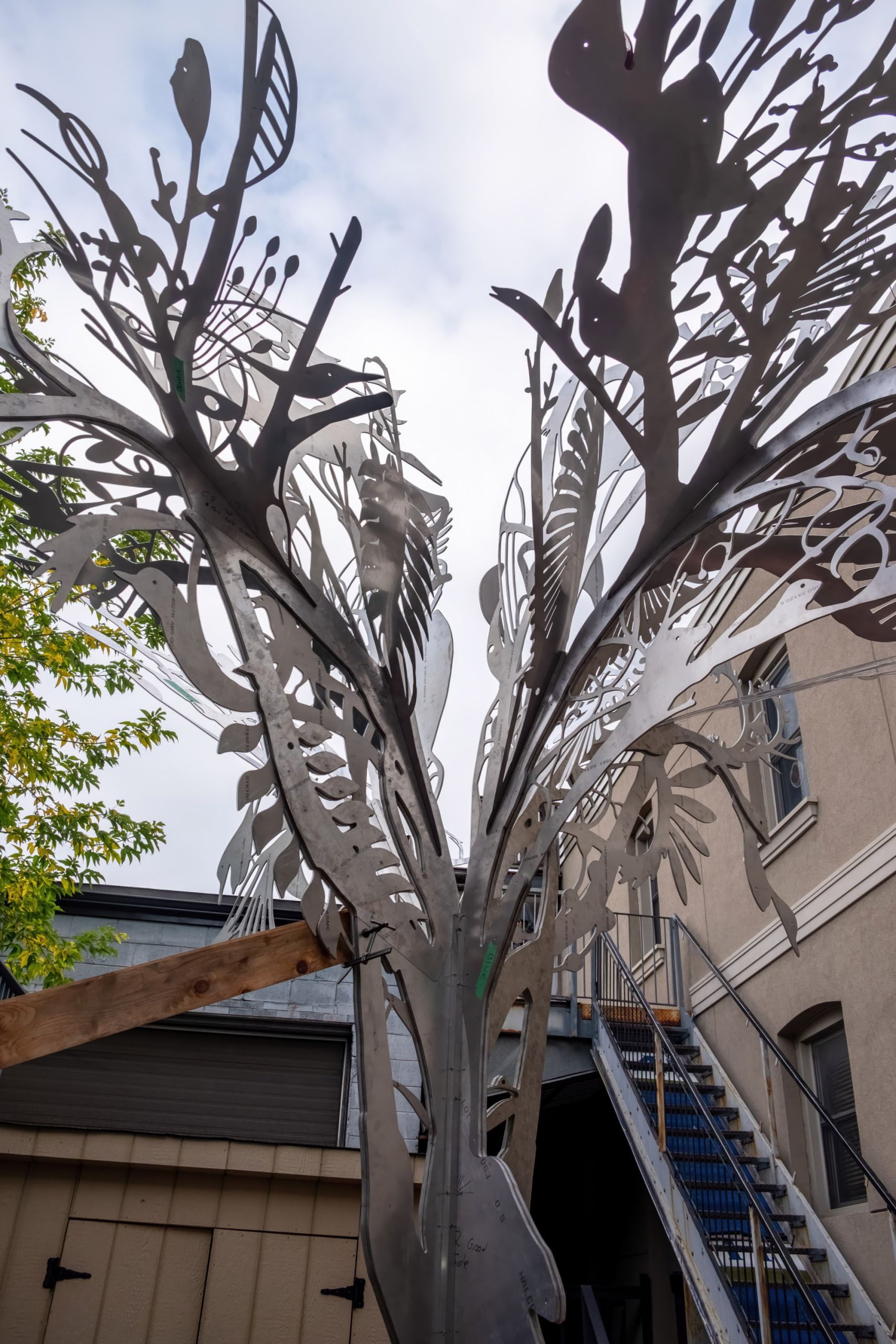 Story Tree 2 1 install 02, 20200113