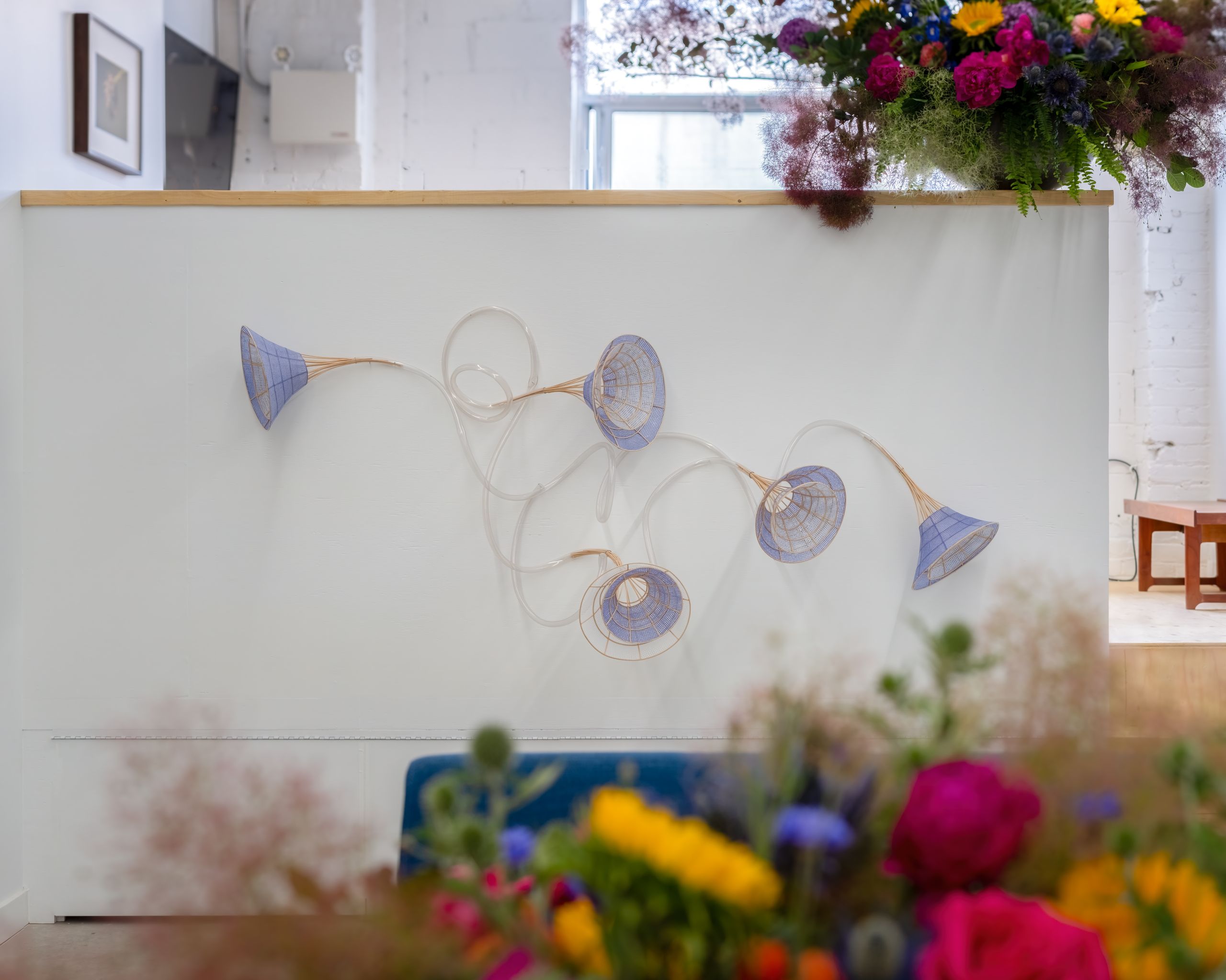Xiaojing Yan, Morning Glory, 2016–2018