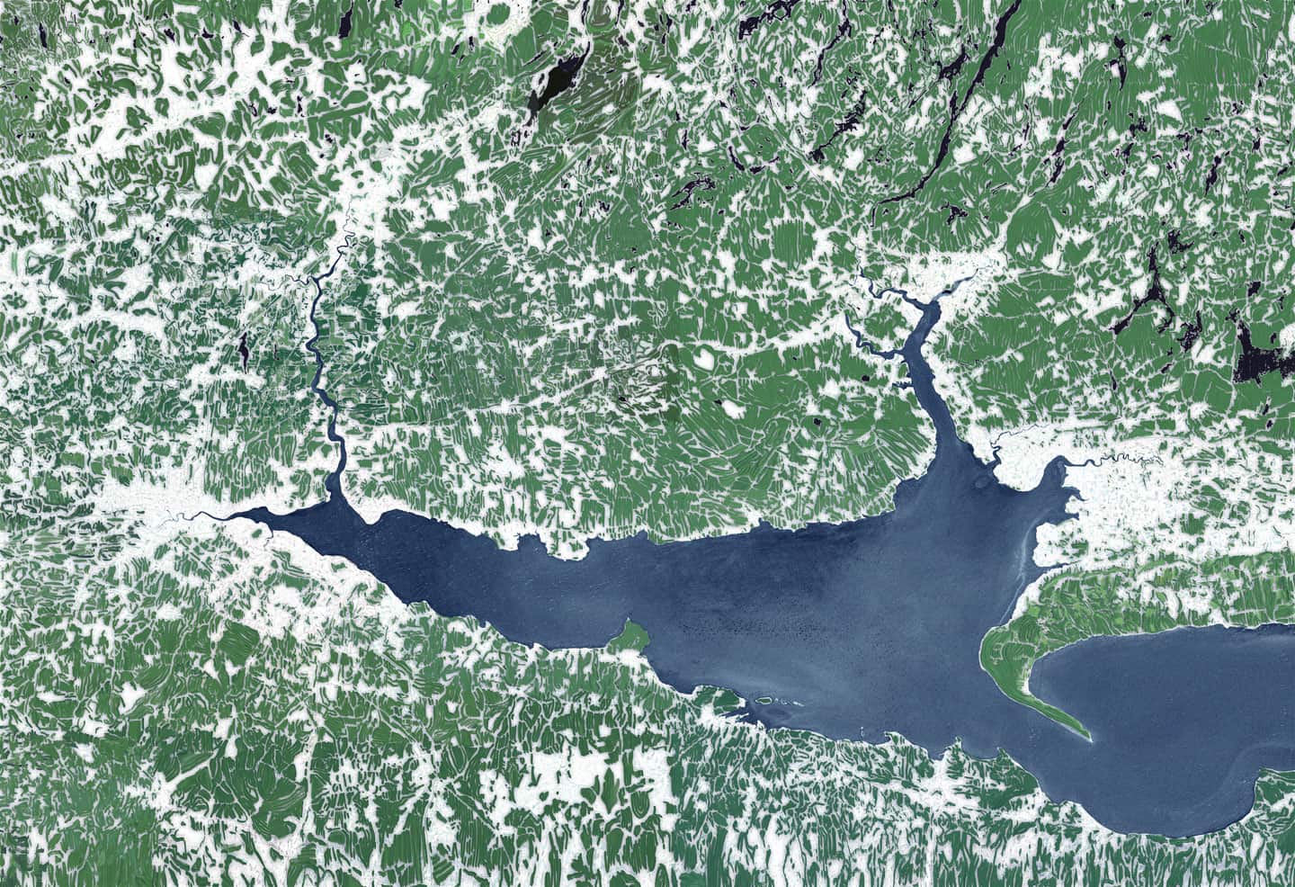 <u>Alex Fischer</u>, <em>Mouth</em>,  2012 digital painting