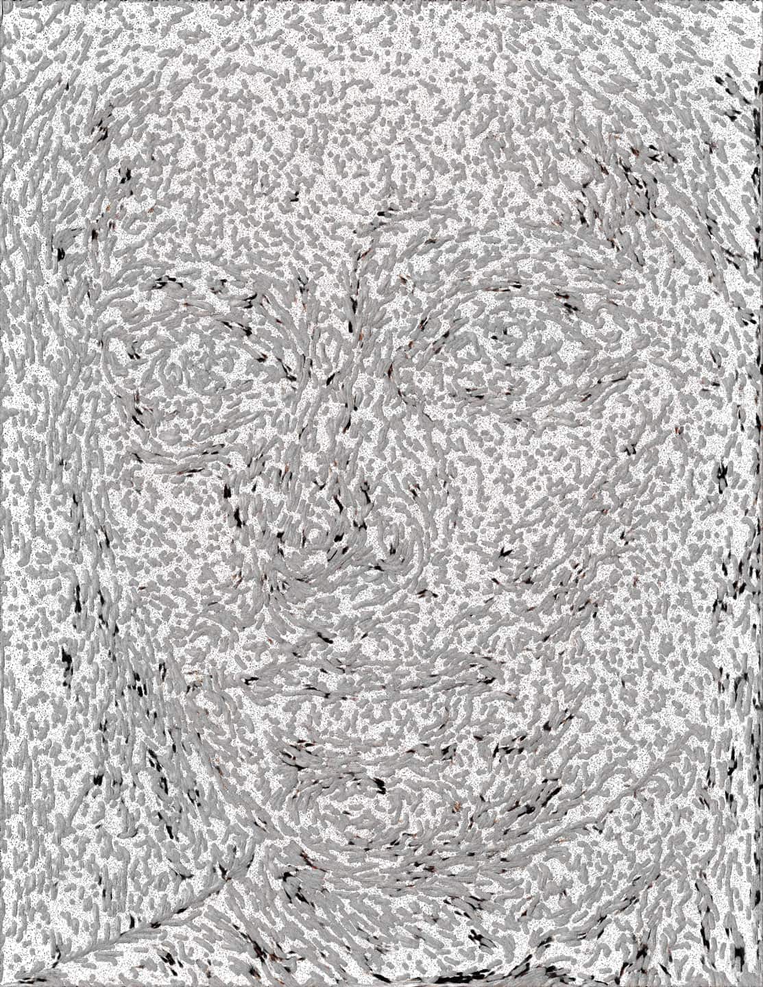 <u>Alex Fischer</u>, <em>Emily</em>,  2016-21-14 digital