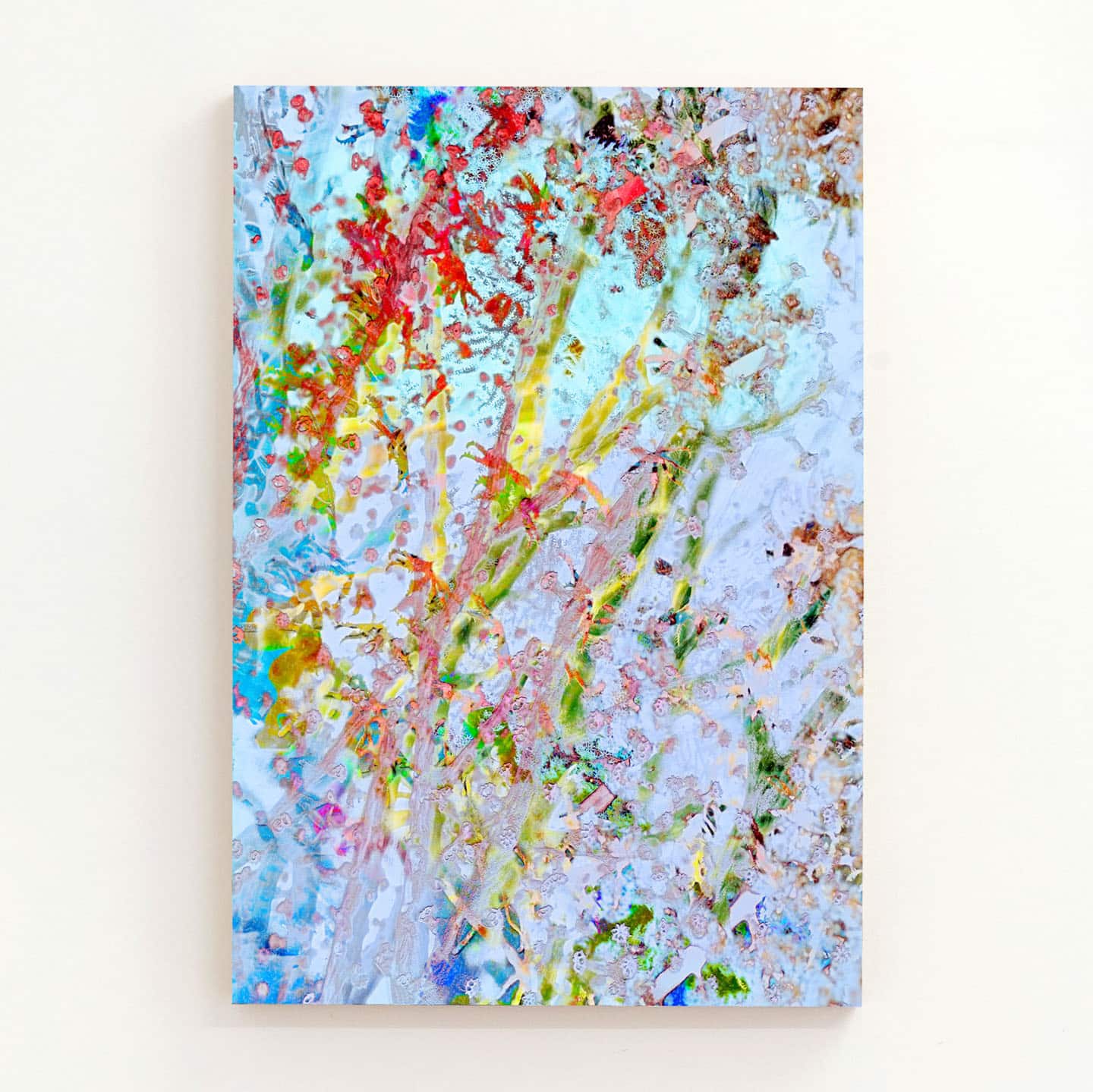 <u>Alex Fischer</u>, <em>Corel Bleaching</em>,  2017-12-22 digital composite