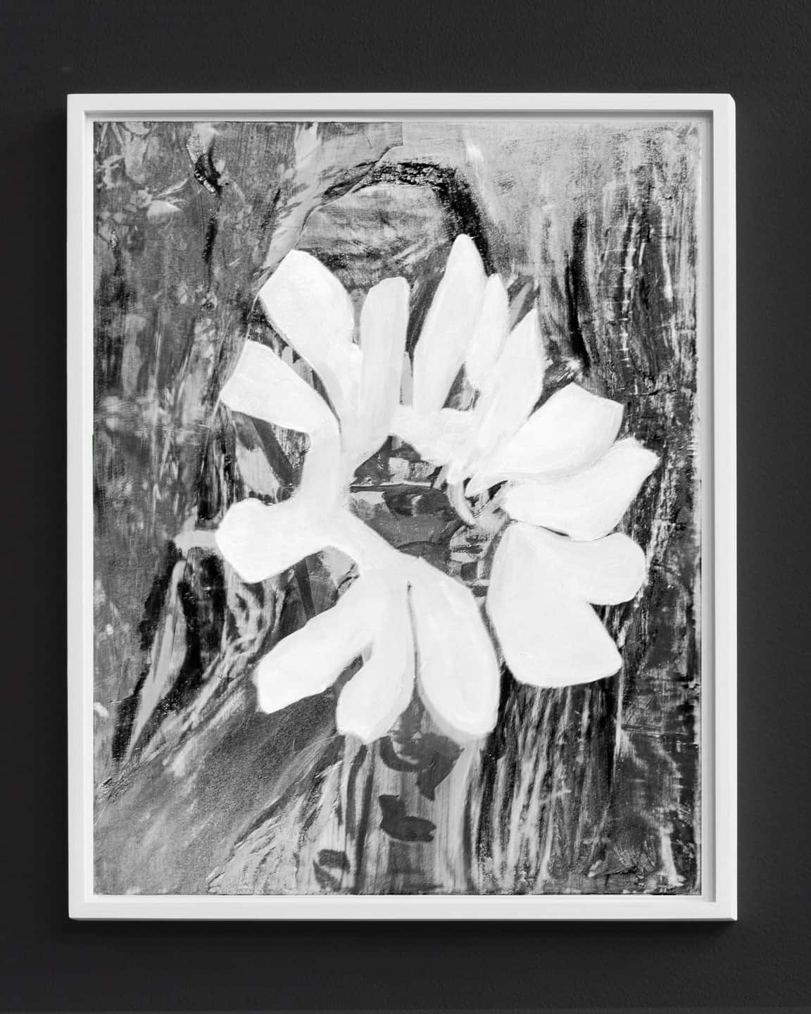 <u>Alex Fischer</u>, <em>Super Seed</em> BWB,  2021-01-04 digital composite