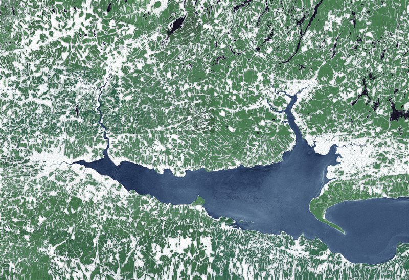 Alex Fischer, Mouth, 2012, digital, transparency