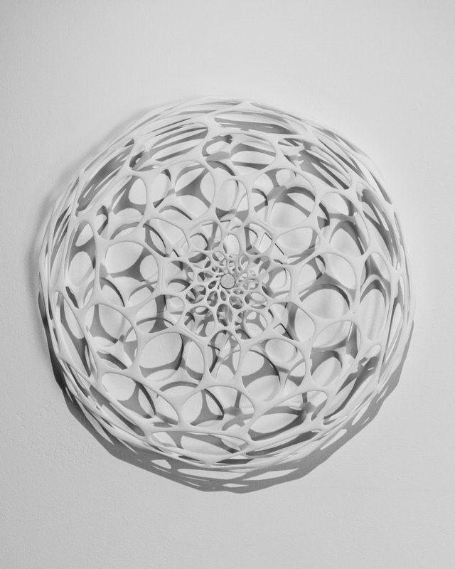 Alex Fischer, Nervous System Preserver, 2013 nylon 3d sculpture