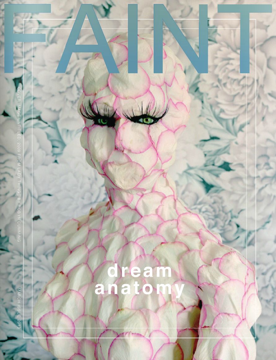 Installation view, Faint Magazine Interview, 20131201