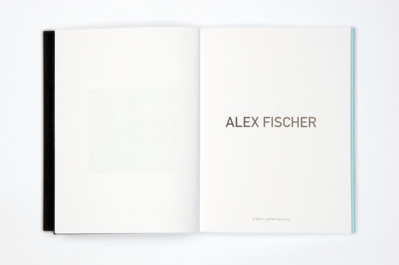 Alex Fischer, W9 04 spread, 2010