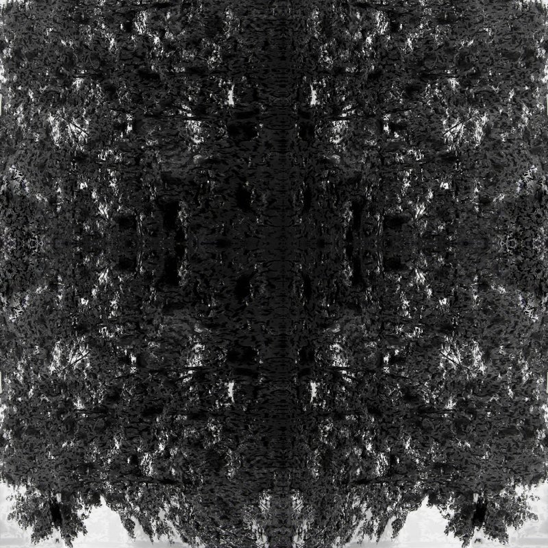 Cell Pattern, 2010, 97.01 × 97.01 in, digital image