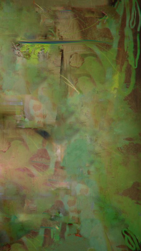 Wlp 0001, 2010, digital image