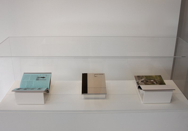 Alex Fischer, Smarter Today O'Born Contemporary 22 Alex Fischer W9 documentation, 2010