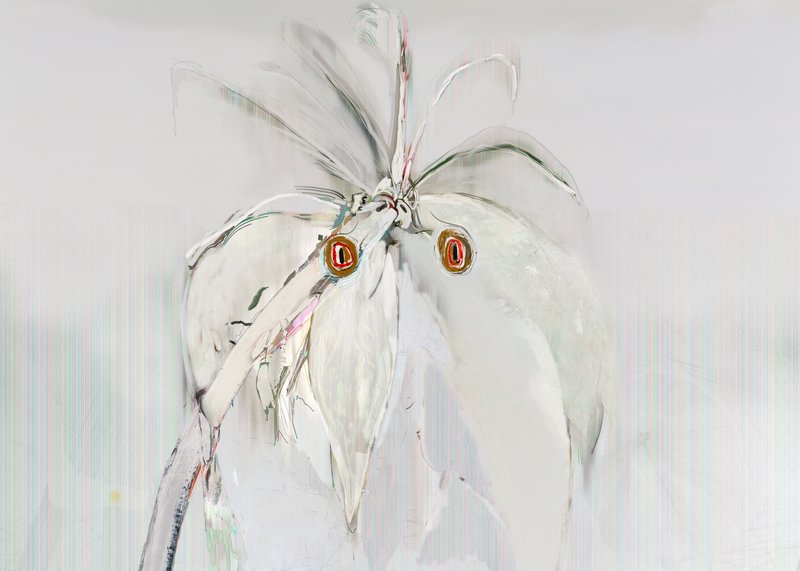Parrots, 2011, 60 × 84 × 0.5 in, matte giclée print