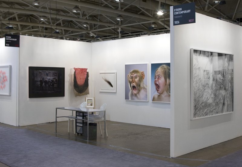 Alex Fischer, Art Toronto NEXT 01 documentation, 2011