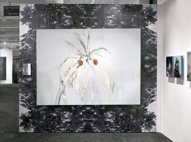 Parrots (alternate), 2011, 60 × 84 × 0.5 in, matte giclée print