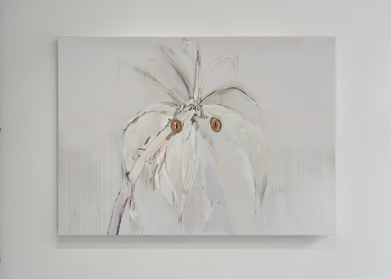 Alex Fischer, Beyond The Fall Galerie BAC 05 Parrots documentation, 2012