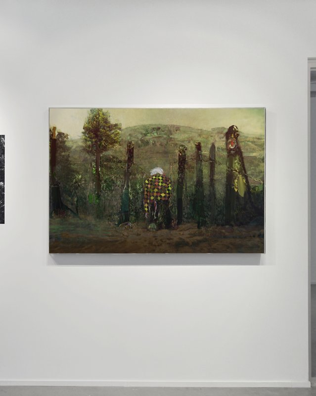 Beyond The Fall (alternate), 2011, 43 × 64 in, digital image