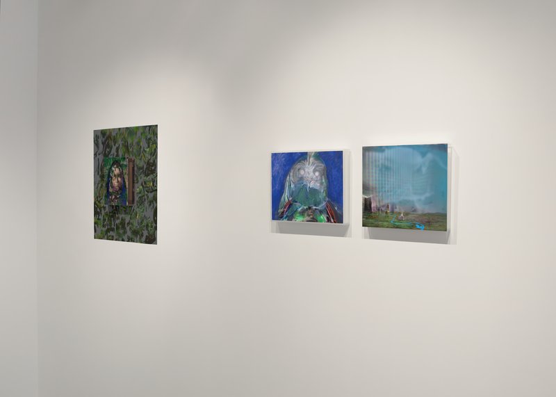 Alex Fischer, Beyond The Fall Galerie BAC 16 Myrrha +Kind of Blue +Aurora documentation, 2012