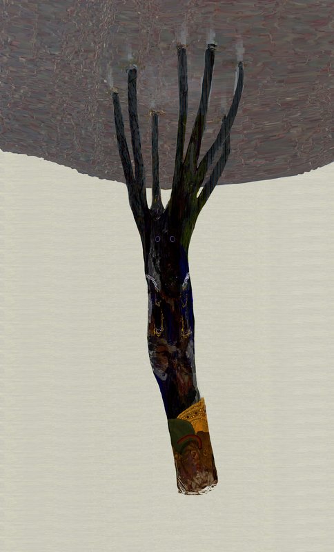 Alex Fischer, Mangrove up, 2012-07-01