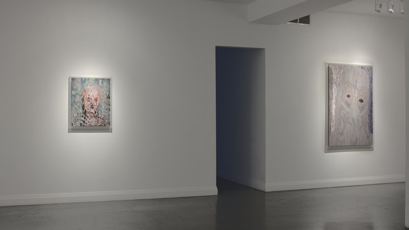 Adobe Mask (alternate), 2012, 22.5 × 27.88 × 0.01 in, fujiflex lightjet print