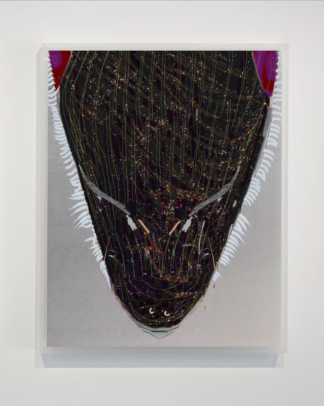 Alex Fischer, Translation O'Born Contemporary 02 Up documentation, 2013