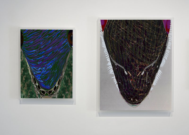 Earlier (alternate), 2011, 17.01 × 12.99 × 0.5 in, luster giclée print