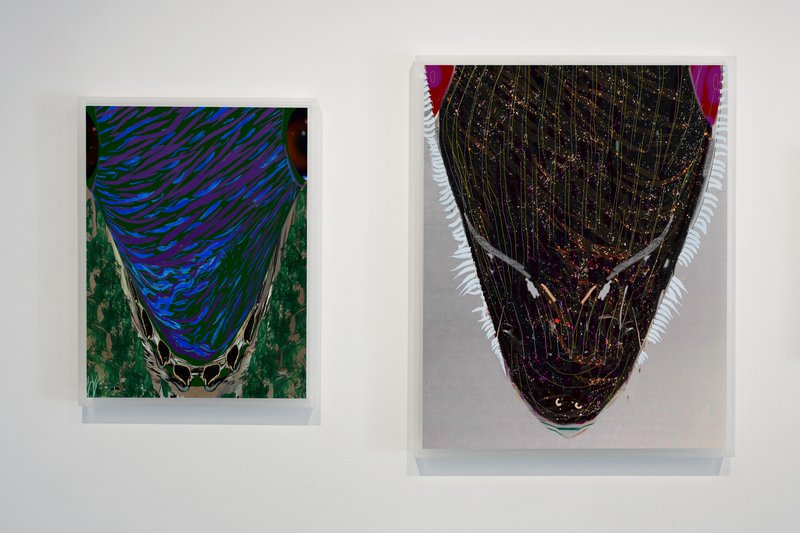 Earlier (alternate), 2011, 17.01 × 12.99 × 0.5 in, luster giclée print