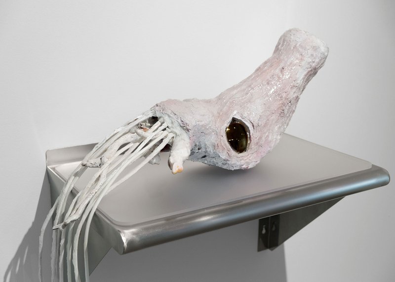 Alex Fischer, <u>Alex Fischer</u>, <em>Ammonite Detail</em>, 2013-03-19, 2022-12-08