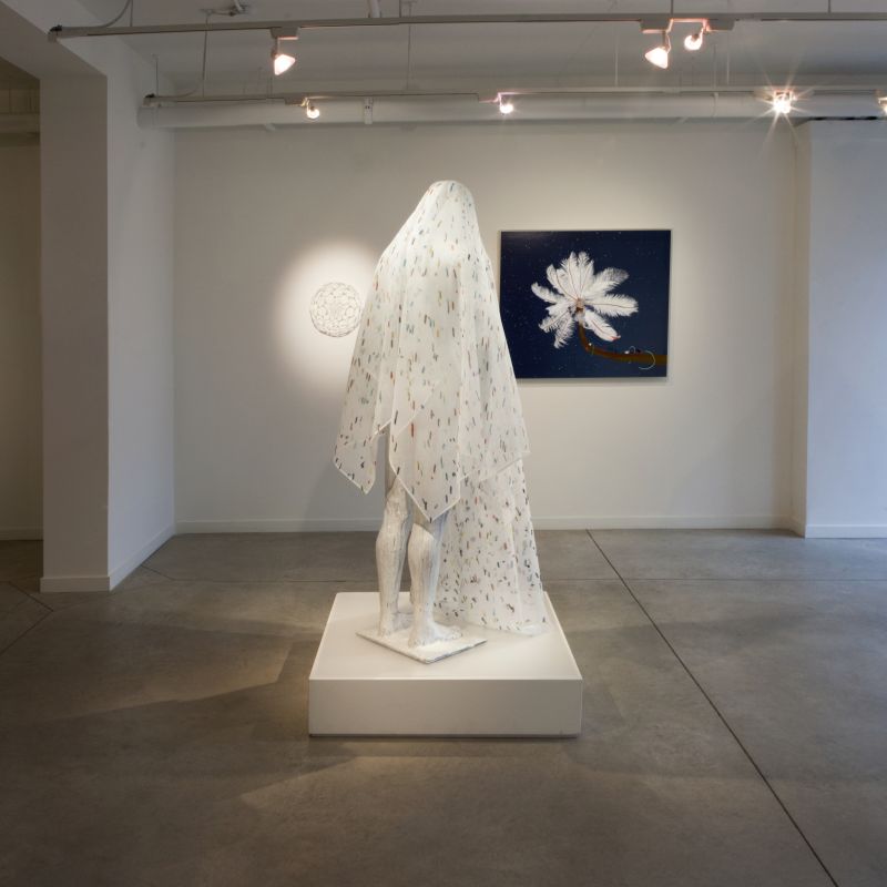 Installation view, Dry Pixels and Wet Molecules, 20131001 — Lichen, Feather Feeder