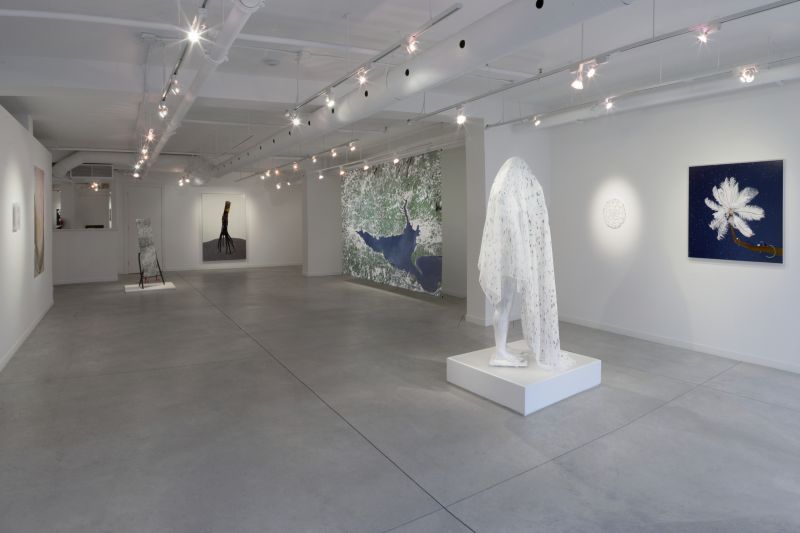 Installation view, Dry Pixels and Wet Molecules, 20131001 — Lichen, Feather Feeder, Mouth, Mangrove Down