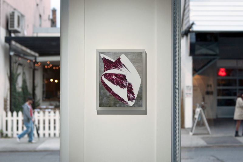 Alex Fischer, Shellfish Cells, 20131017