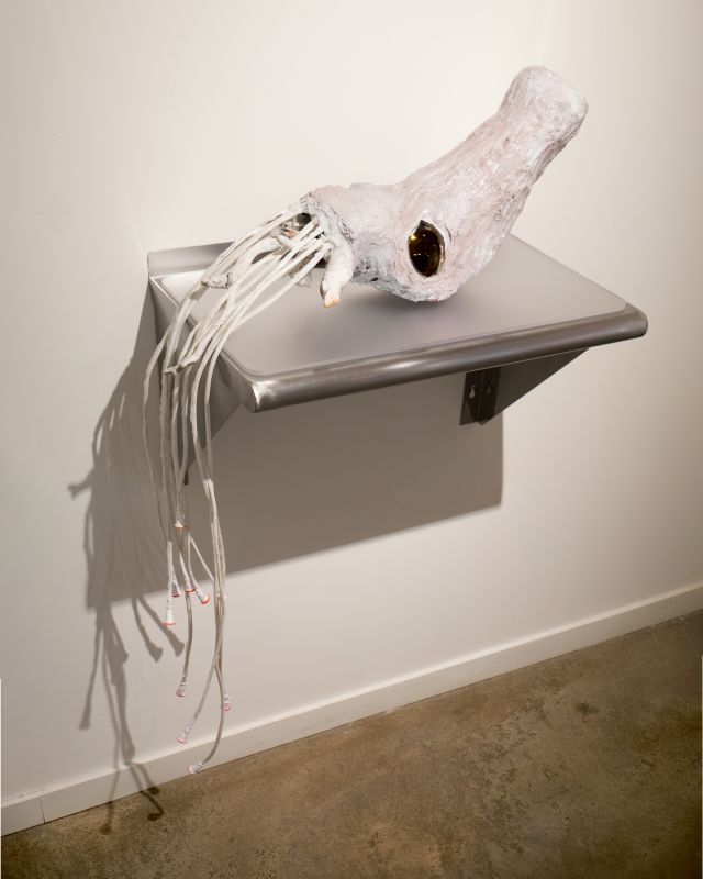 Alex Fischer, Ammonite, 20131017