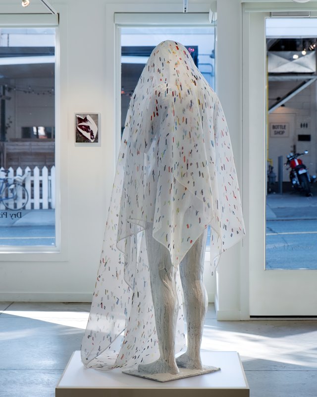 Alex Fischer, Dry Pixels and Wet Molecules O'Born Contemporary 02 Shellfish Cells +Lichen documentation, 2013