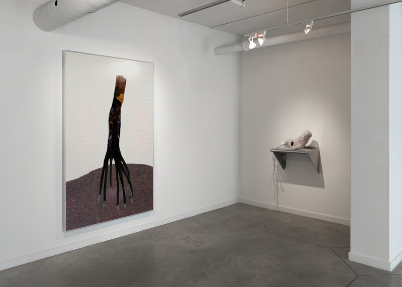 Alex Fischer, Dry Pixels and Wet Molecules O'Born Contemporary 04 Mangrove Down documentation, 2013