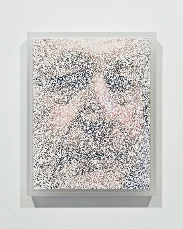 A General Impression (alternate), 2013, 11 × 8.5 × 0.5 in, matte giclée print