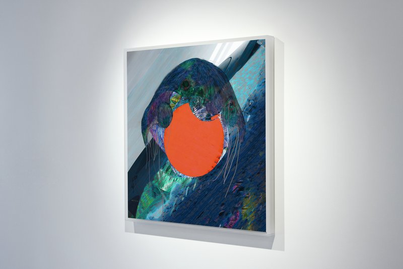 Alex Fischer, Dry Pixels and Wet Molecules O'Born Contemporary 06 Jelly Portrait documentation, 2013