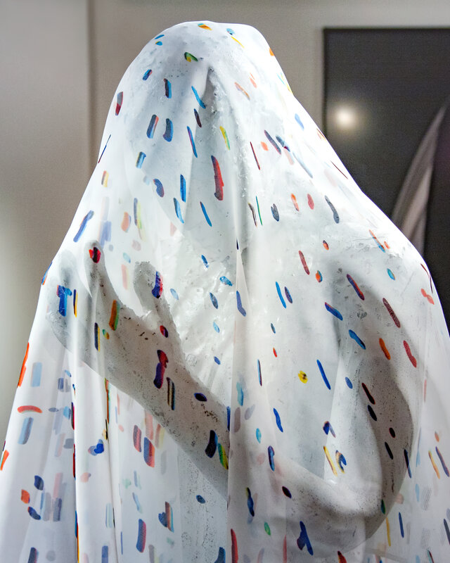 Alex Fischer, Dry Pixels and Wet Molecules O'Born Contemporary 07 Lichen documentation, 2013