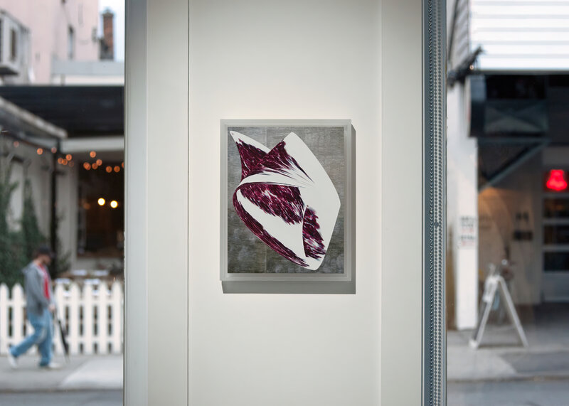 Shellfish Cells (alternate), 2013, 9.62 × 7.62 × 0.5 in, matte giclée print