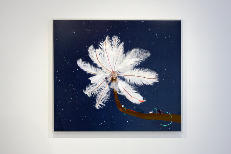 Alex Fischer, Dry Pixels and Wet Molecules O'Born Contemporary 09 Feather Feeder documentation, 2013