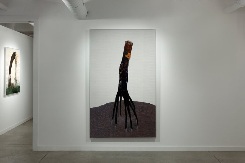 Alex Fischer, Dry Pixels and Wet Molecules O'Born Contemporary 12 Loop (Santiago) +Mangrove Down documentation, 2013