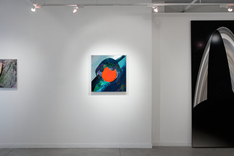 Seeding (alternate), 2012, 21 × 14 × 0.5 in, luster giclée print