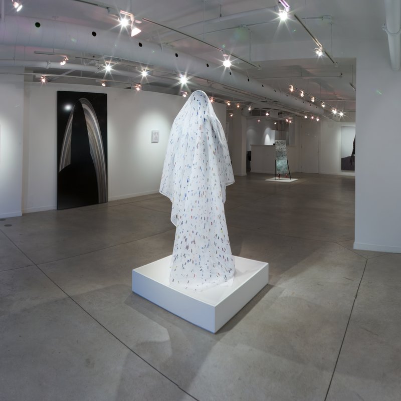 Disc (alternate), 2013, 96 × 48 × 0.24 in, lightjet print