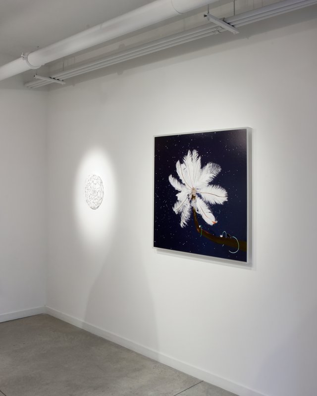 Alex Fischer, Dry Pixels and Wet Molecules O'Born Contemporary 24 Nervous System Preserver documentation, 2013