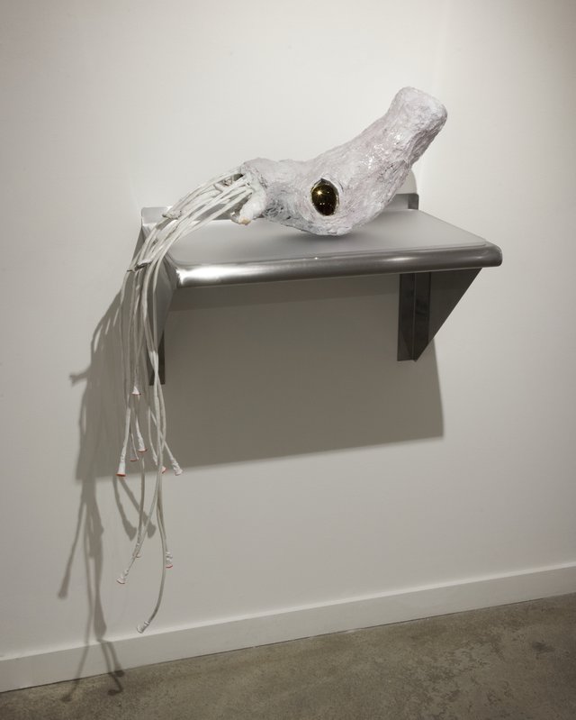 Alex Fischer, Dry Pixels and Wet Molecules O'Born Contemporary 29 Ammonite documentation, 2013