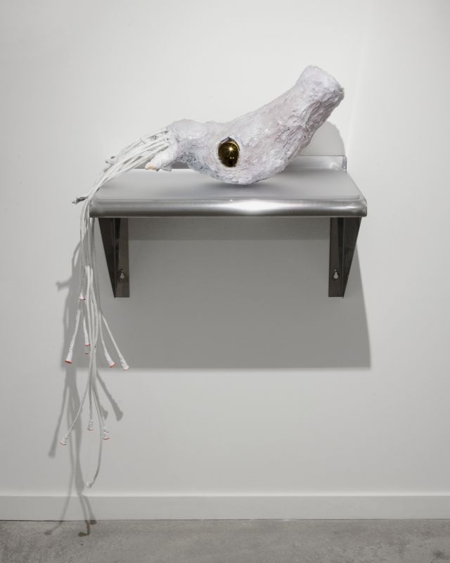 Alex Fischer, Ammonite, 20131017