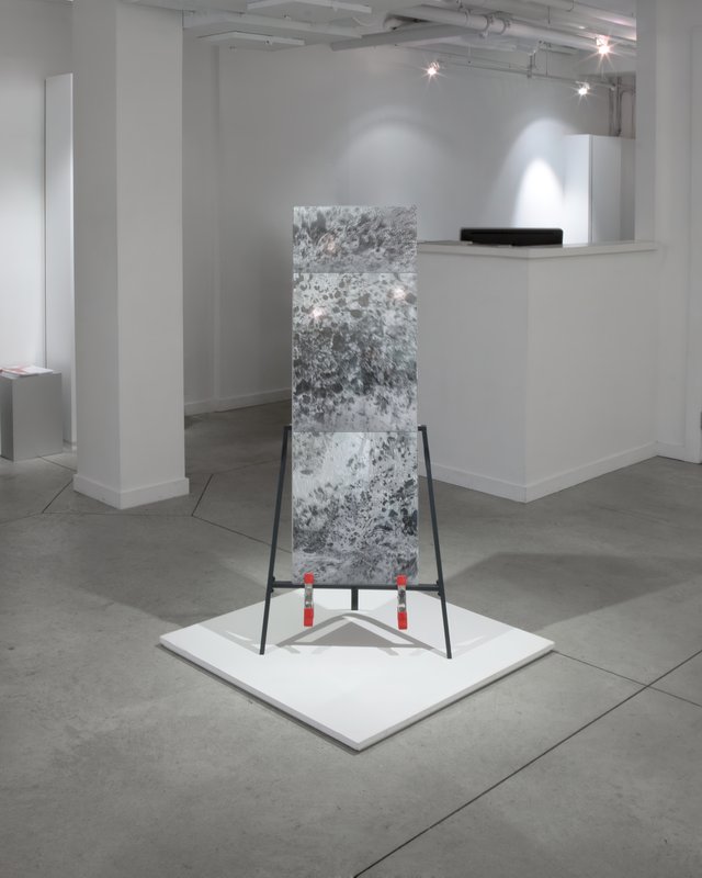 Alex Fischer, Dry Pixels and Wet Molecules O'Born Contemporary 32 Similar Image Object (b) documentation, 2013