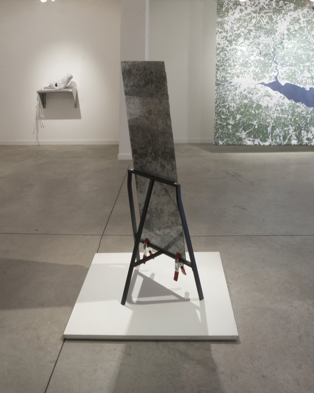 Alex Fischer, Dry Pixels and Wet Molecules O'Born Contemporary 33 Ammonite +Similar Image Object (b) documentation, 2013